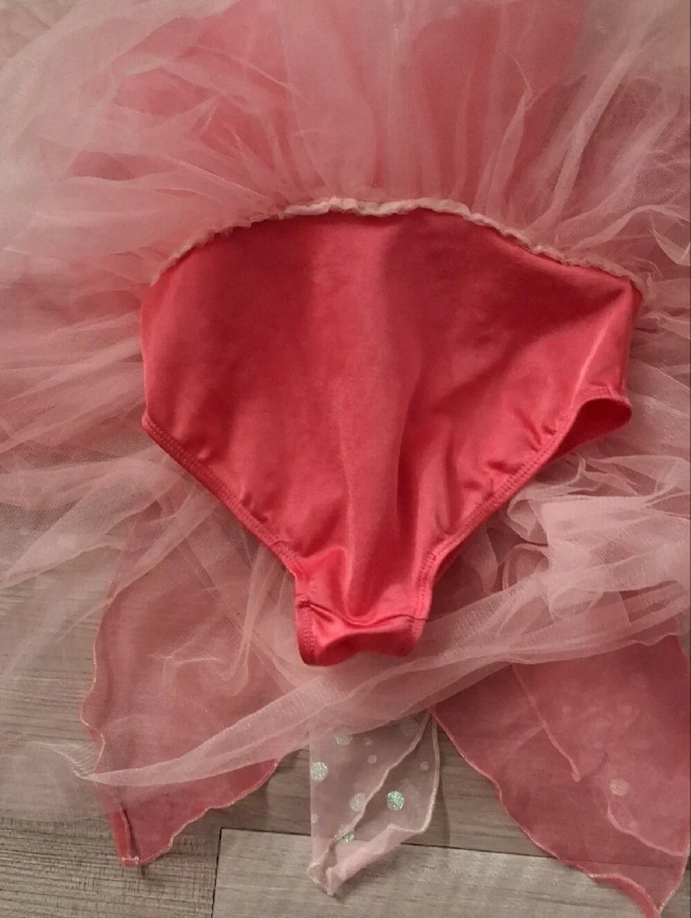 Gymboree Fairy Sparkle Vintage Halloween Costume Petal Tutu Size 5-6 (M)